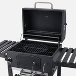 Barbecue a carvão